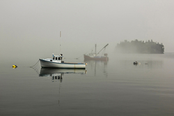 Boats in Fog for Email.jpg